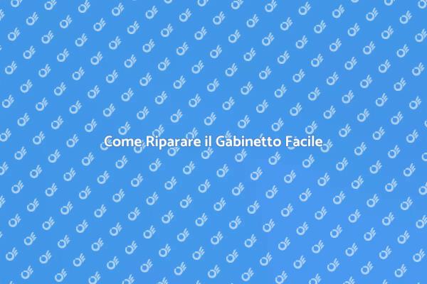 Riparazione Gabinetto: Soluzioni Facili