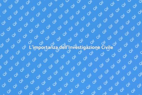 Investigazione Civile: Verità e Prove