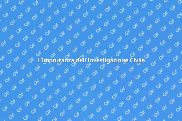 Ricerche e Prove: Investigazione Civile