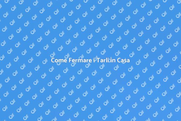Difendi il Tuo Legno dai Tarli