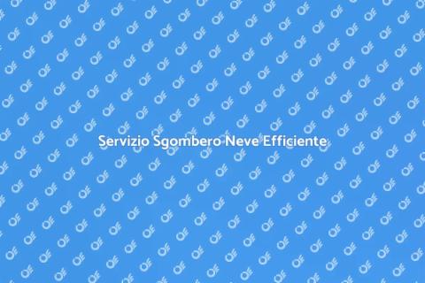 Sgombero Neve Affidabile per Tutti