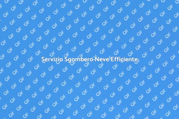 Sgombero Neve: La Soluzione Ideale