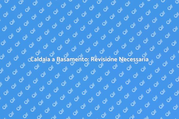 Vantaggi della Revisione della Caldaia