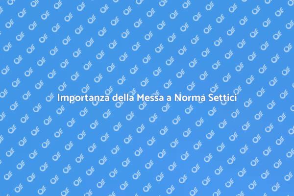 Perché Mantenere il Tuo Sistema Settico