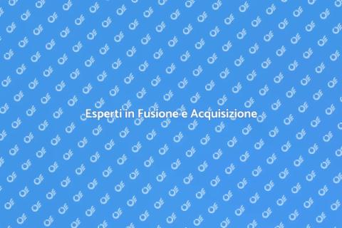 Consulenza Fusione e Acquisizione