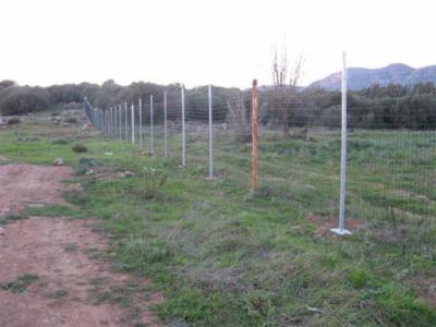 Monte Cadelano  - Foto 9