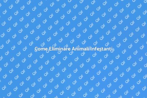 Rimozione Animali Infestanti Efficace