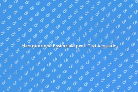Manutenzione Urgente di un Acquario