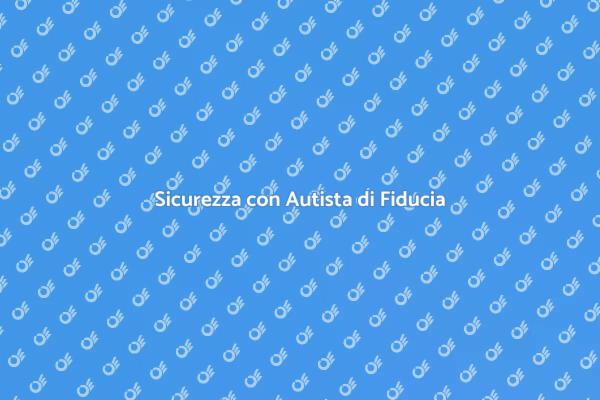 Autista Fidato per la Tua Sicurezza