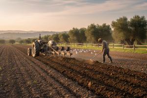 la preparazione del terreno: Da €100