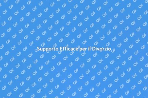 Consulenza per il Divorzio Efficace