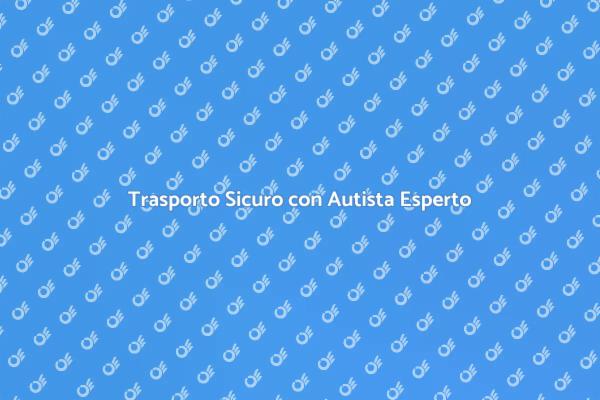 Trasporto con Autista: Sicurezza Garantita