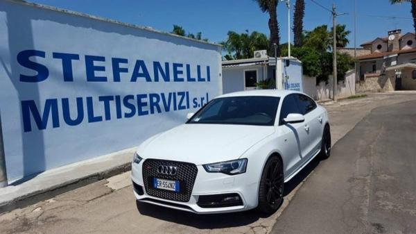 Stefanelli Multiservizi  - Foto 3
