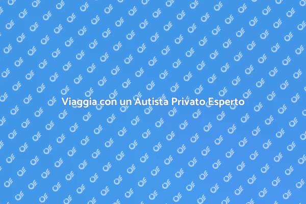 Comodità e Lusso con Autista Privato