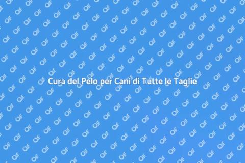 Spazzolatura e Lavaggio per Cani