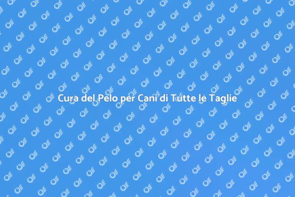 Lavaggio e Spazzolatura per Cani Felici