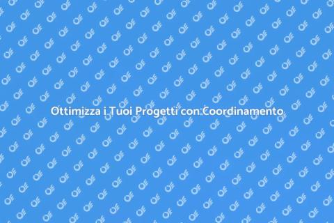 Coordinamento Personalizzato per Progetti