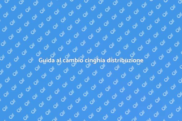 La tua guida al cambio cinghia
