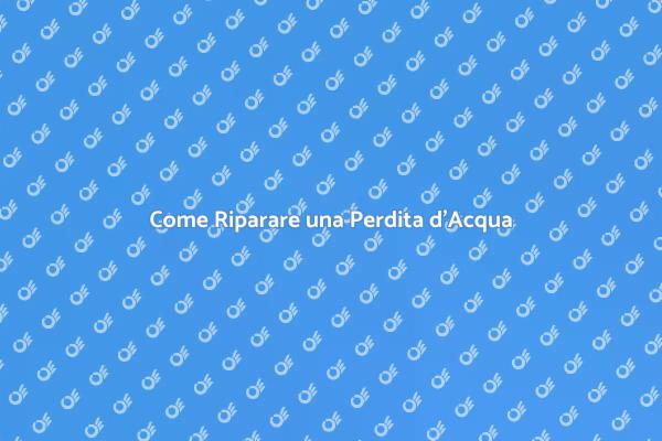 Guida alla Riparazione di Perdite d'Acqua