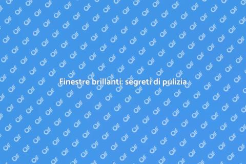 Pulizia vetri: guida alla trasparenza