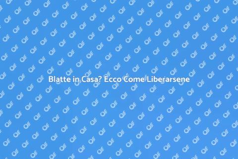 Disinfestare Blatte: Guida Efficace