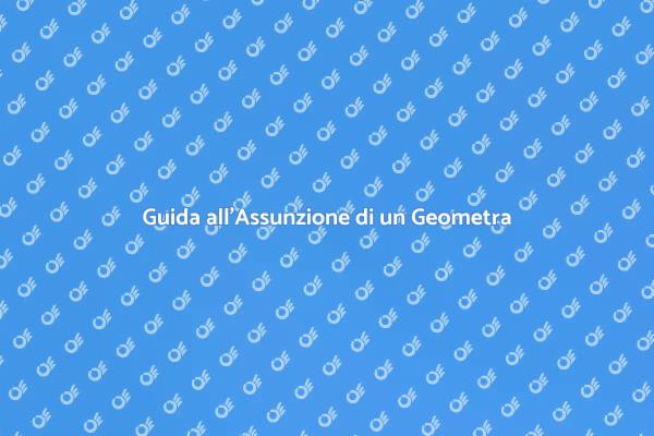 Importanza di Assumere un Geometra