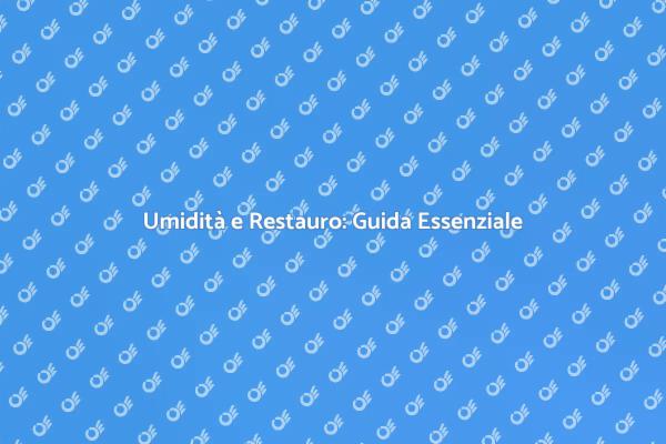 L'importanza dell'umidità nel restauro