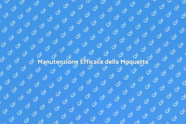 Tecniche per Pulire la Moquette
