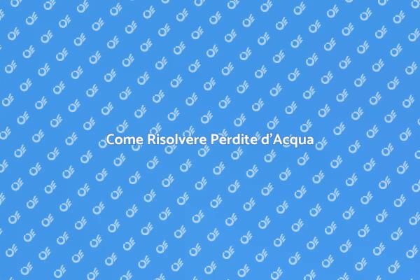 Risoluzione di Perdite d'Acqua Efficace