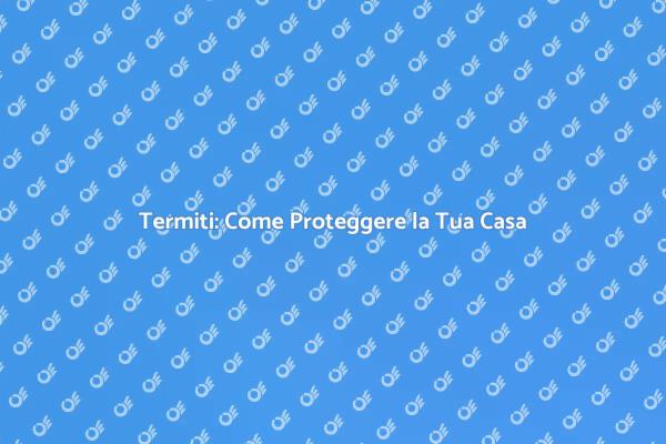 Proteggi la Tua Casa dalle Termiti