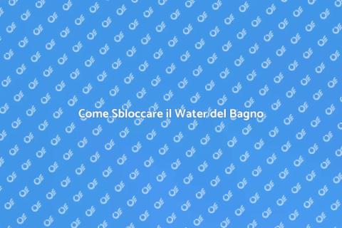 Risolvere il Water Intasato Facile