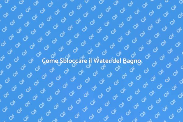 Guida alla Risoluzione del Water Intasato