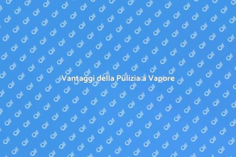 Pulizia a Vapore dei Tappeti in Casa