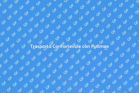 Noleggiare Pullman con Autista Facile