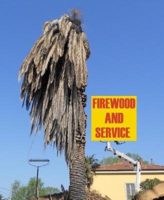 Firewood And Service  - Foto 4