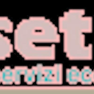 Setra Srl