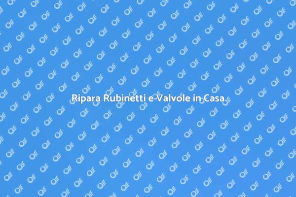 Manutenzione Rubinetti e Valvole