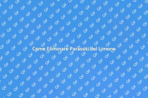 Disinfestare Parassiti del Limone