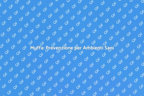 Come Evitare la Muffa negli Ambienti