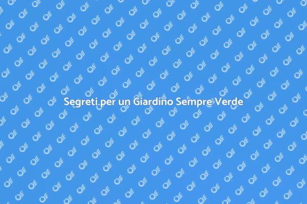Guida alla Manutenzione del Giardino