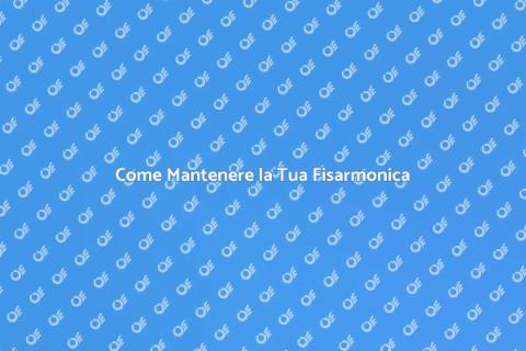 Manutenzione Fisarmonica: Guida Completa