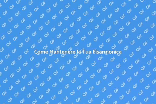 Manutenzione Efficace per Fisarmoniche