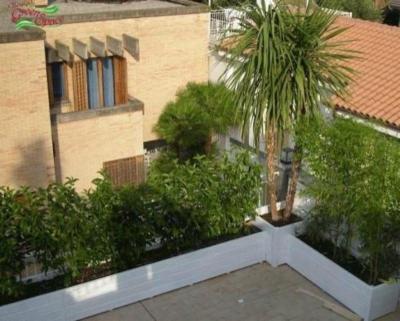 New Green Space  - Foto 3