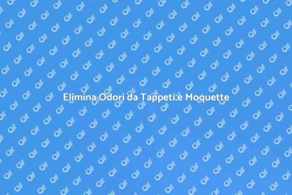 Come Rimuovere Odori da Moquette