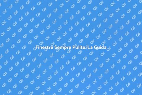 Pulizia Professionale Finestre Brillanti