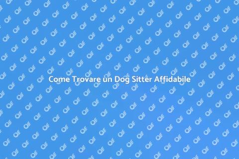 Dog Sitter Professionale per il Tuo Fido