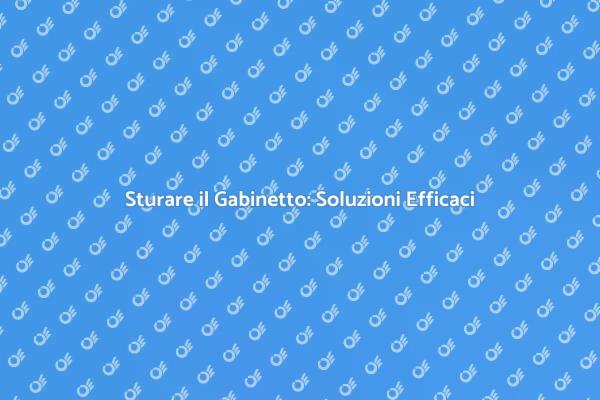 Sturare il Gabinetto: Ecco Come Fare