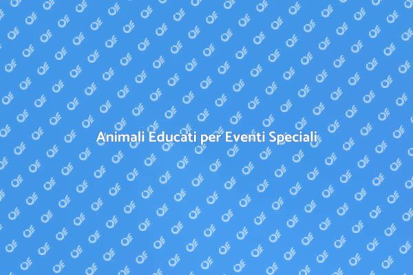 Come Educare Animali per Eventi