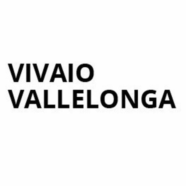 Vivaio Vallelonga  - Foto 1
