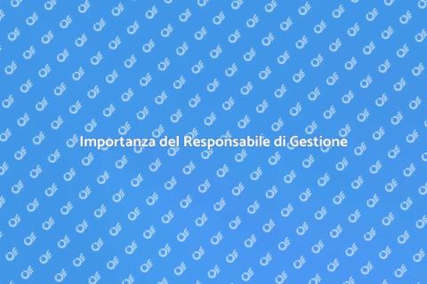 Responsabile Controllo di Gestione